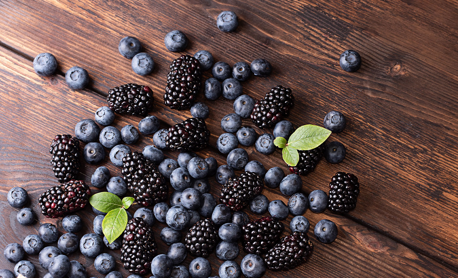 خط إنتاج معالجة هريس التوت